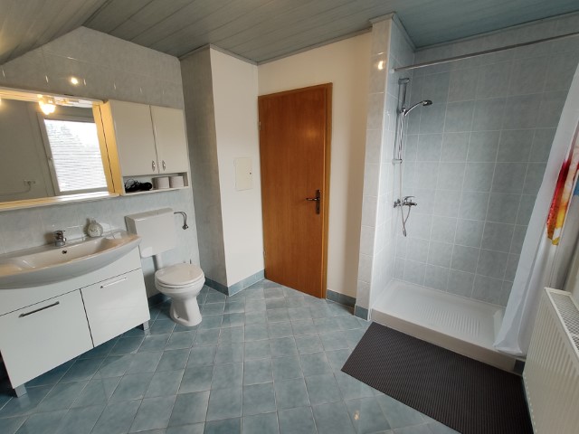 Apartma Drinovec - kopalnica